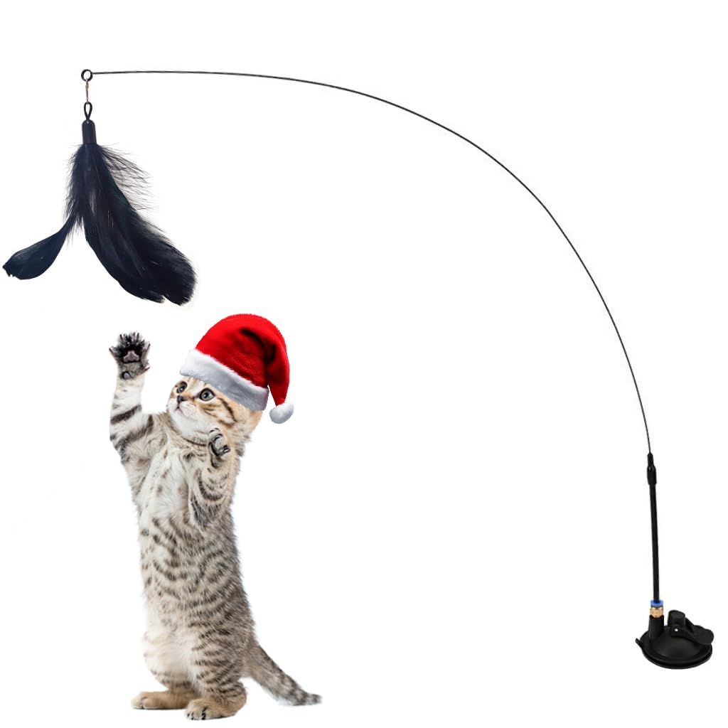 Qpets® Cat Toys, Cat Teaser Toy with Bell, Fixable Interactive Toys | Suction Cup, Elastic Toys for Kittens, Persian Cat Toys and Feather Funny Cat Playing for Indoor