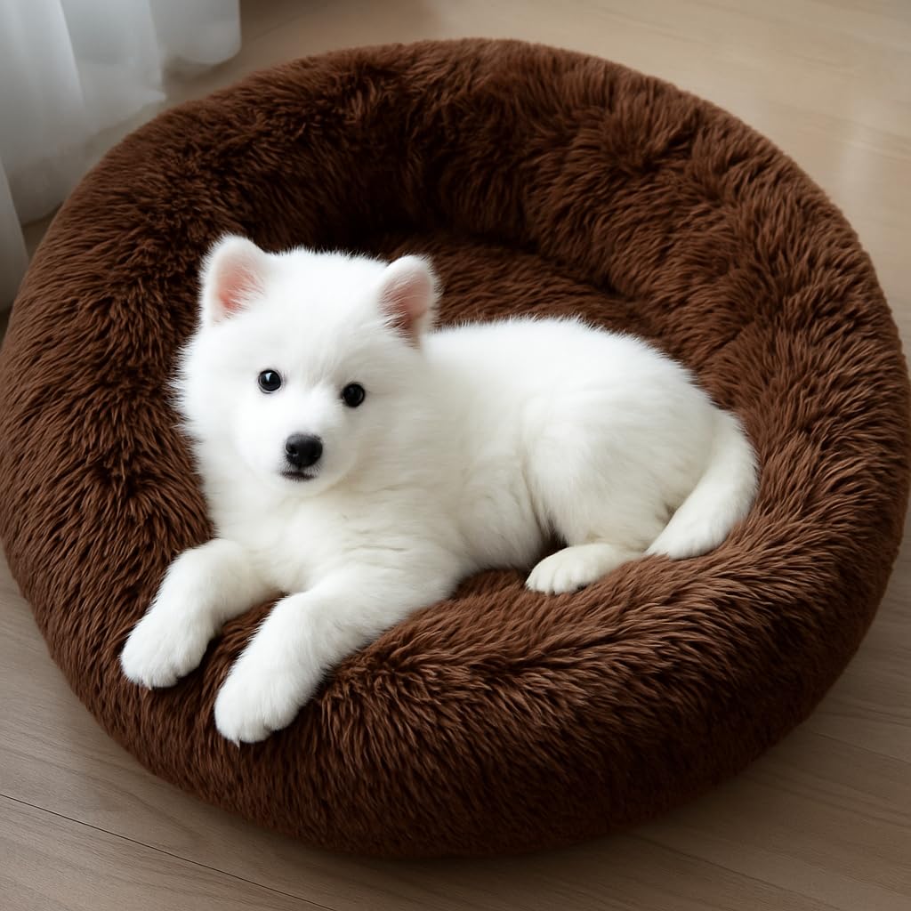 ZEXSAZONE Summer Round Donut Pet Bed for Cats and Puppies, Dogs, Cozy and Plush, Raised Bedside Support, Both Sides Use Like 2 in One, Washable, Best for Small Pets, Puppey & Cat – 50X50X12 CM