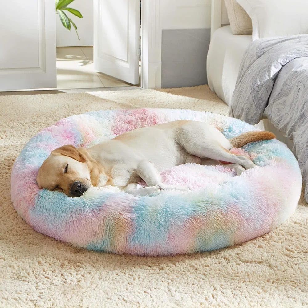 ZEXSAZONE Summer Round Donut Pet Bed for Cats and Puppies Dogs, Cozy and Plush, Raised Bedside Support, Both Sides Use Like 2 in One, Washable, Sizes for Small, Medium, and Large Pets. (Rainbow)