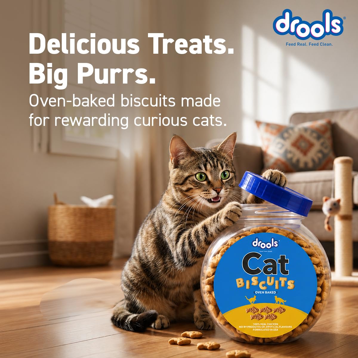 Drools All Life Stages Cat Biscuit 110g Jar | Chicken Flavour | Dental Health | Lustrous Shiny Coat | Vitamins & Minerals