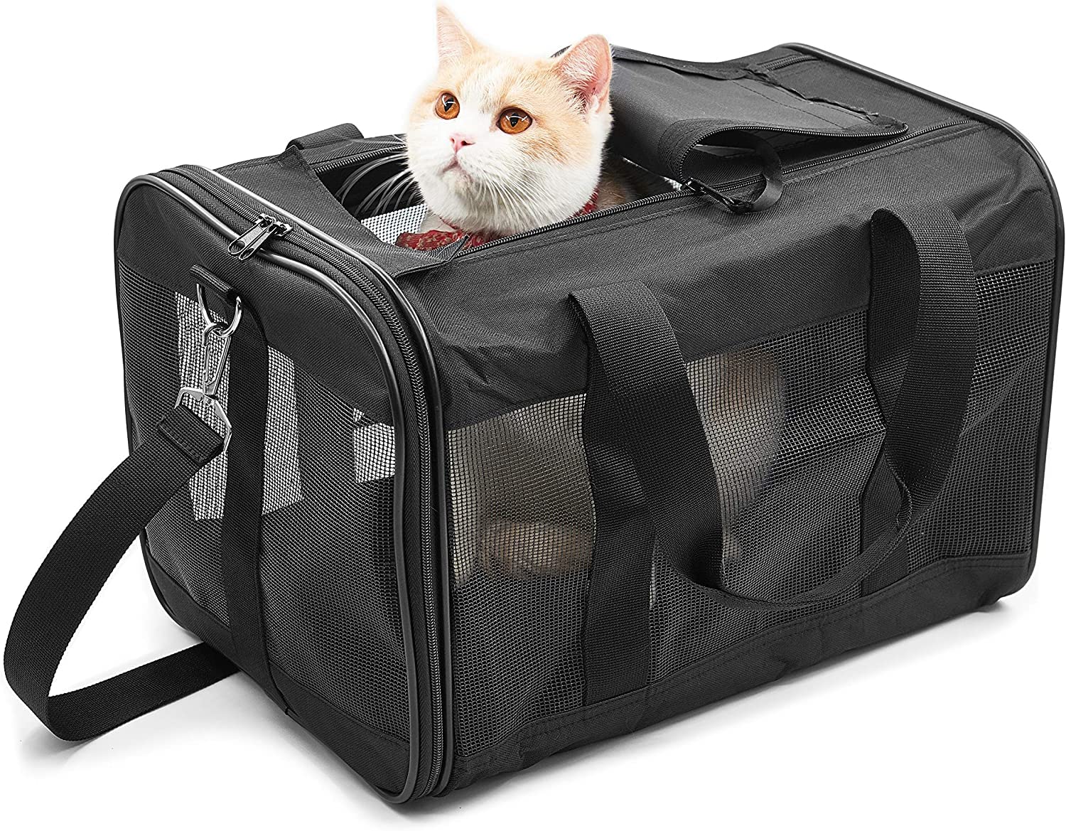 KIKA Pets SPRINGFRAME Carrier Dog Carrier Soft Sided Pet Travel Carrier for Cats, Small Dogs, Kittens or Puppies, Collapsible, Durable, Airline Approved, Travel Friendly Black (M)