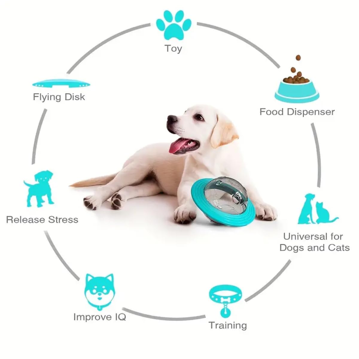PSK PET MART Interactive Slow Feeder Puzzle IQ Treat Ball Puzzle Ball Pet Dog Food Feeder | Play Toy for Dog Feeding (Color May Vary)