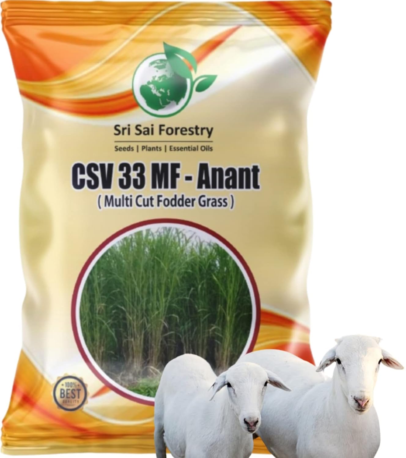 SRI SAI FORESTRY CSV 33 MF Grass Seeds 100G | CSV 33 MF Anant | CSV33MF Grass Seed | CSV33MF Maize Grass for Animal Fodder – High Yield, Multi-Cut Fodder for Cattle, Goat, Sheep & Dairy Animals