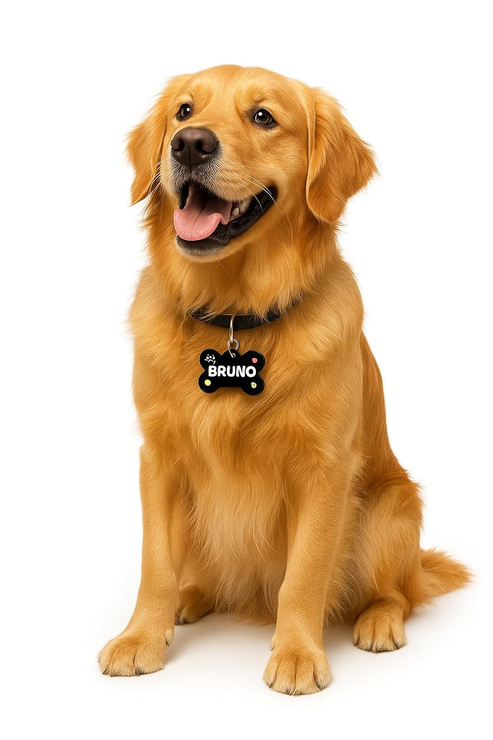 Personalized Pet Name ID Tag for Dogs | Lightweight, Water-Proof and Skin Safe (Bone Shape)