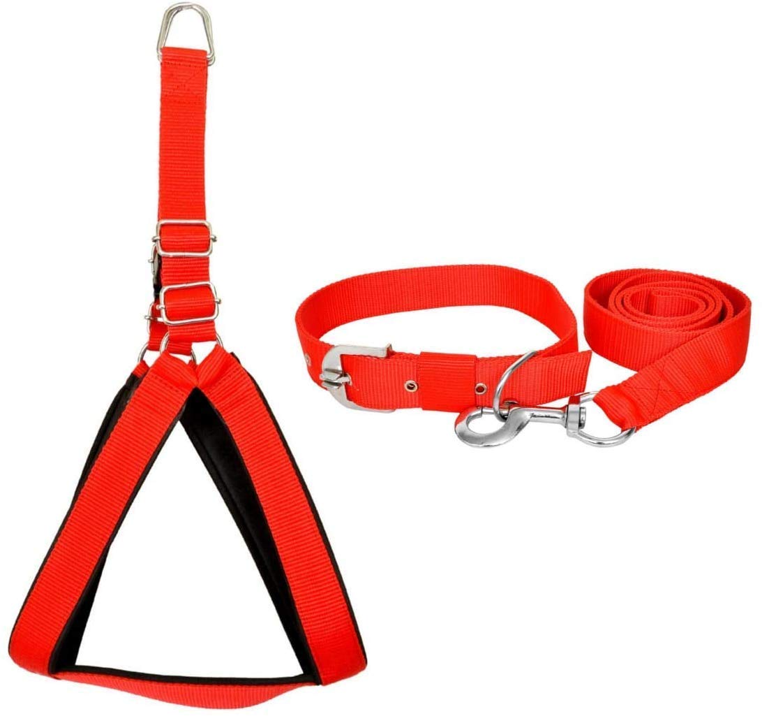 No Pull -Step in Soft Padded Buckle Dog Harness and Collar Leash – Escape Proof Adjustable Combo for Walking Training Hiking Outdoor (Red-Black, Extra Small)