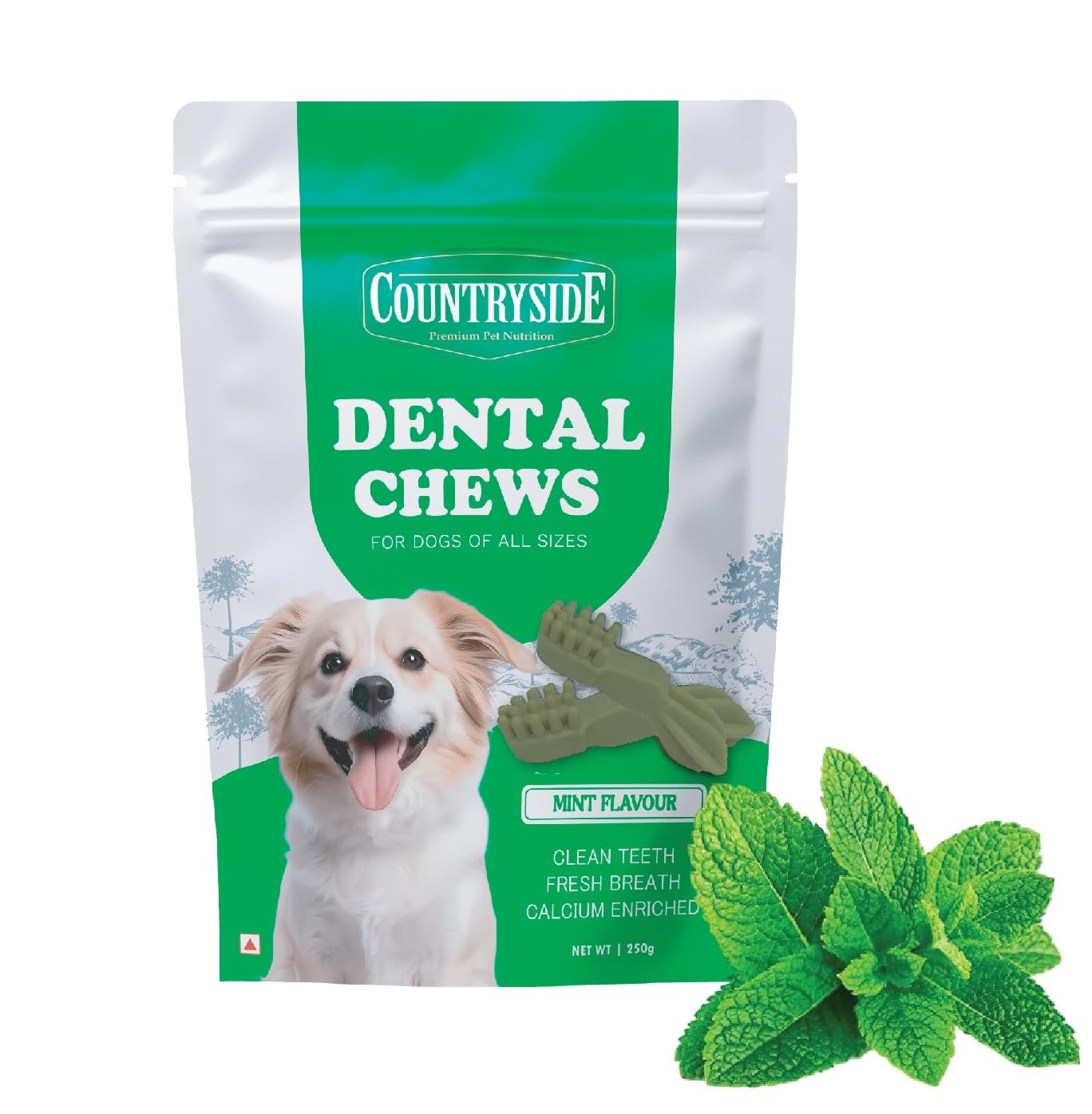 COUNTRYSIDE Dog Dental Chews Treats 250g – Mint Flavor | Brush-Shaped Chews for Dogs, Oral & Gum Care for Dogs | Fights Plaque & Tartar | Freshens Breath | Calcium Enriched & Gluten Free