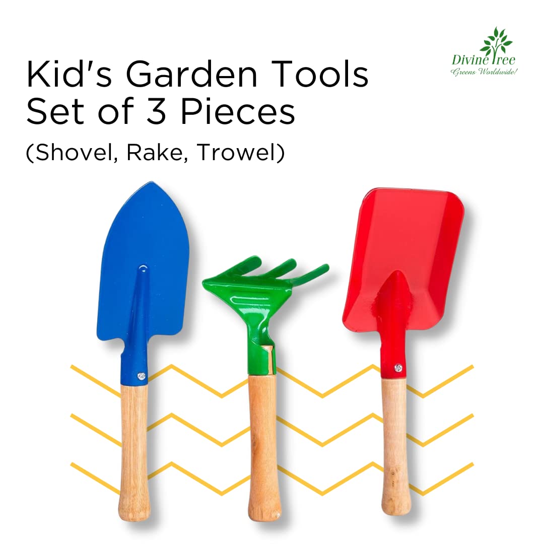 DIVINE TREE Kids Gardening Tools Kit – Garden Tools for Home Gardening Set for Kids (Shovel, Trowel, Rake) – Mini Garden Tool Set for Children – Educational Outdoor & Indoor Play Gift
