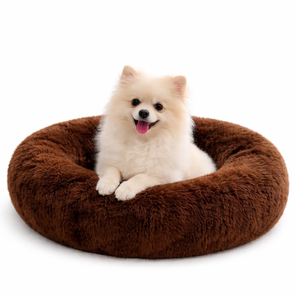 ZEXSAZONE Summer Comfortable Durable Both Sides usable and Washable Pet Bed | Cat Bed | Puppy Bed | Dog Bed | Medium Dog Bed for Cats Puppies (Coffee, Small)