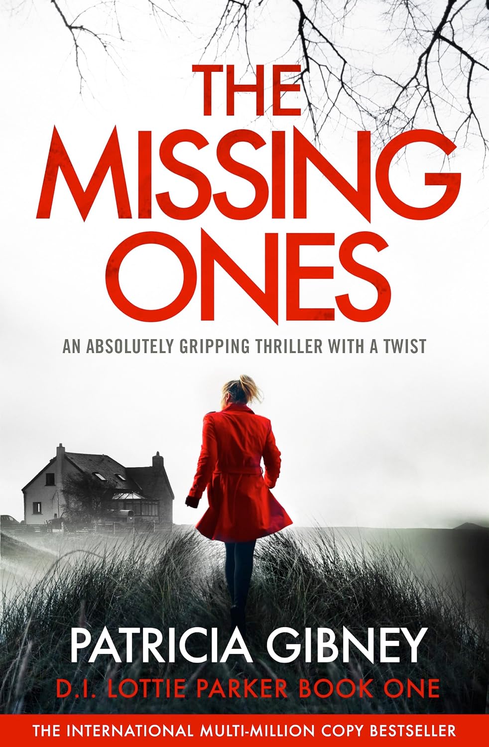 The Missing Ones: An absolutely gripping thriller with a jaw-dropping twist (Detective Lottie Parker Book 1)