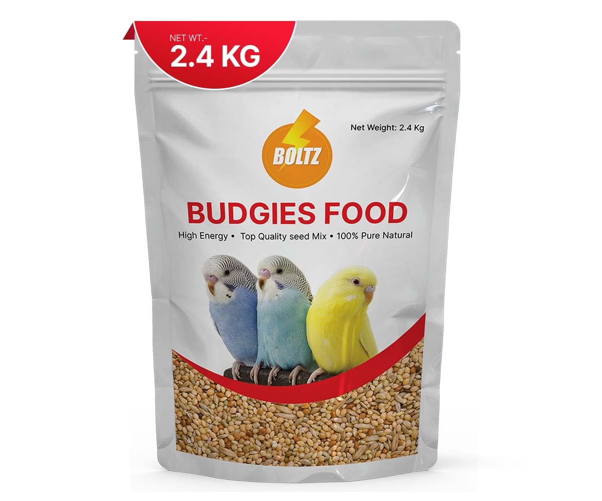 Boltz Bird Food for Budgies – 2400Gm, Natural & Healthy Premium Mix Seeds, Daily Bird Budgies Food Seeds, All BirdsLife Stages for Everyday Feeding (Mix Seed, 2400Gm)…