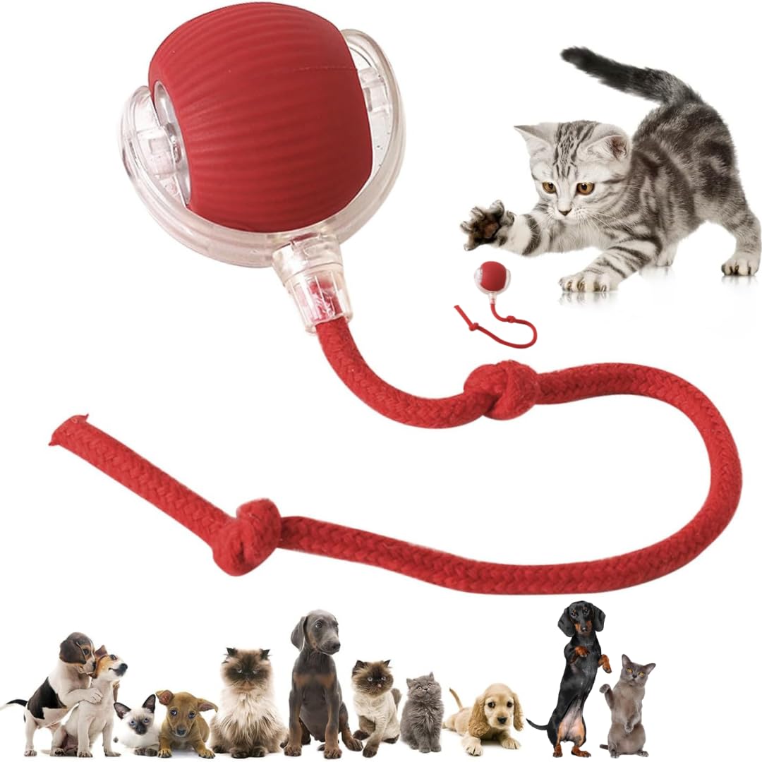 Naturaceutica’s Interactive Electric Automatic Rolling Moving Rechargeable Self Play Stimulation Toy,Smart Pet Chase Ball With Speedy Tail Rope For Bored Indoor Cats Enrichment(Red)