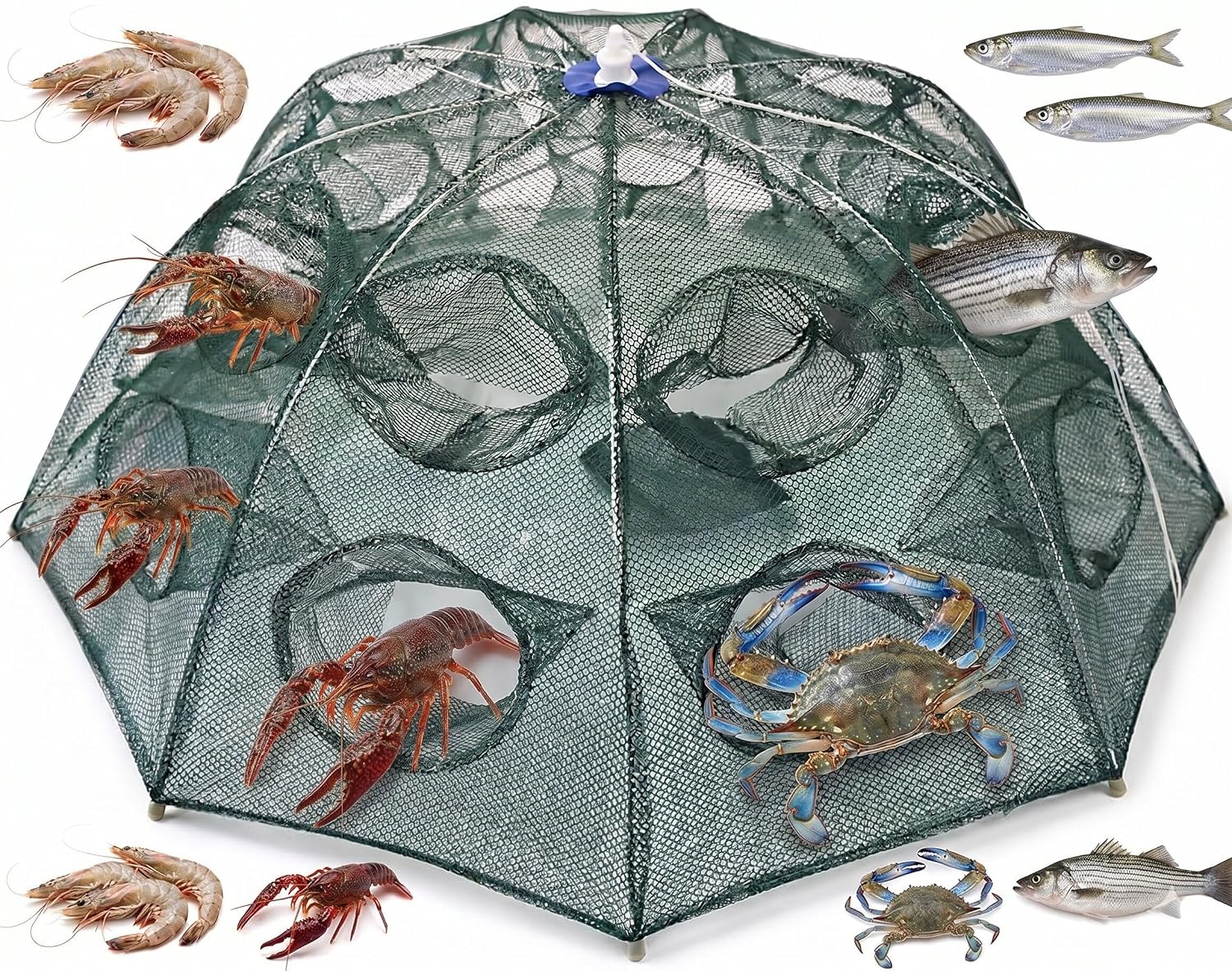 TOVIXY Fishing Net, Fishing Trap Portable Strengthened 16 Holes Automatic Fishing Net Shrimp Cage, Nylon Foldable Crab Fish Trap Cast Net Cast Folding Net. (8 Sides 16 Holes)
