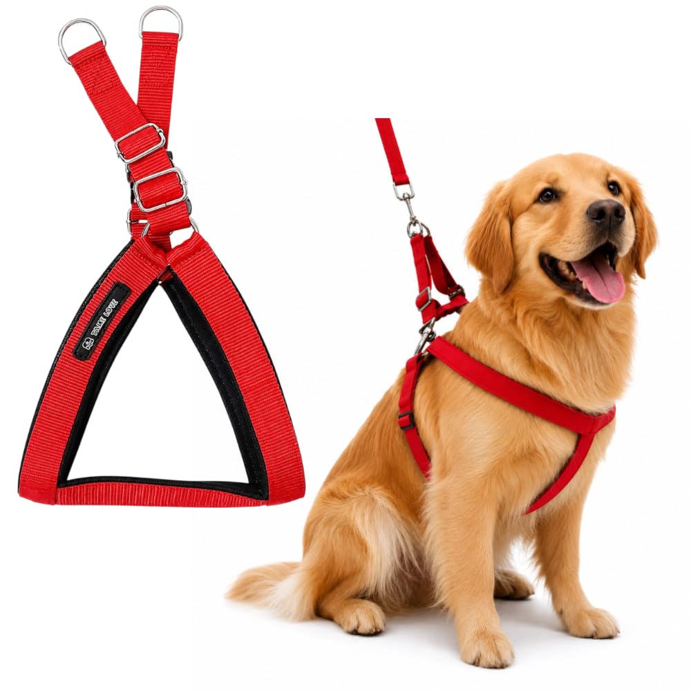 Adjustable Dog Harness – Breathable, Padded Chest Belt for Adult Dogs of All Breeds | No-Pull, Choke-Free Pet Harness for Walking, Training, Running (Red, 1.25 Inch)