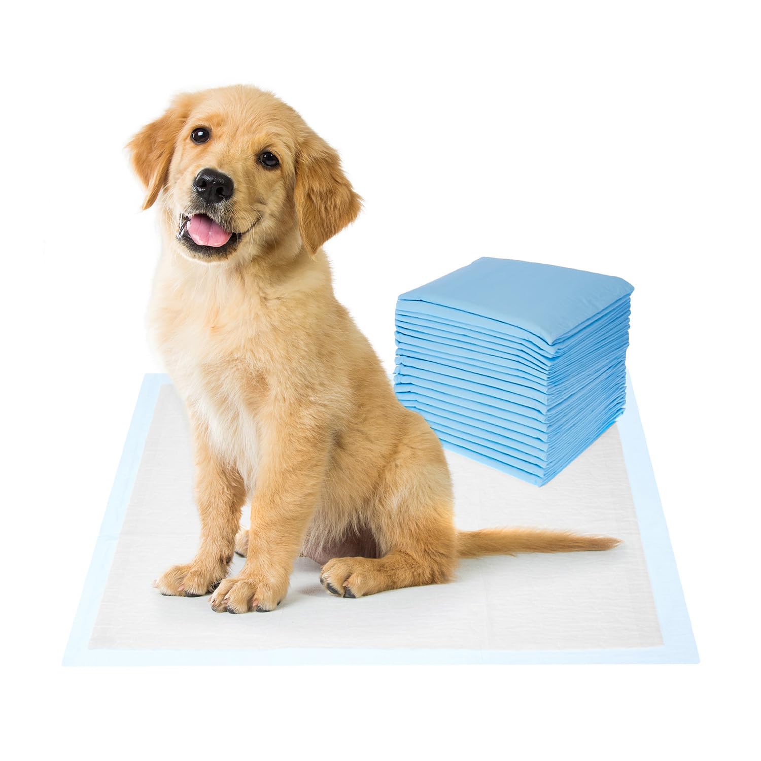 Amazon Basics Dog & Puppy Pee Pads | Heavy Duty Absorbency | Regular 61 x 59 cm | 20 Pieces | Leak-Proof Quick Dry Design for Small and Medium Dogs (Heavy Duty, Regular Size, 20 Pads)