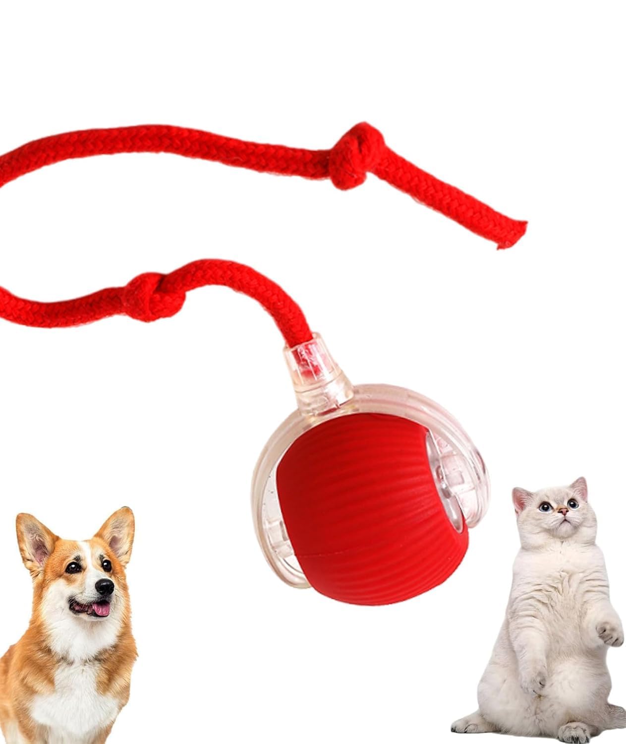 Cat Toys Ball – Smart Rolling LED Ball, Automatic & USB Rechargeable Motion Activate for Indoor Kitten Puppy Dog cat- Pet Exercise, IQ Training, Fun & Engaging Pet Toy