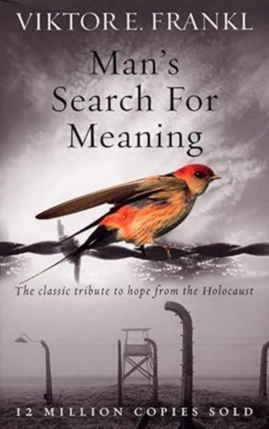 Man’s Search For Meaning: The classic tribute to hope from the Holocaust