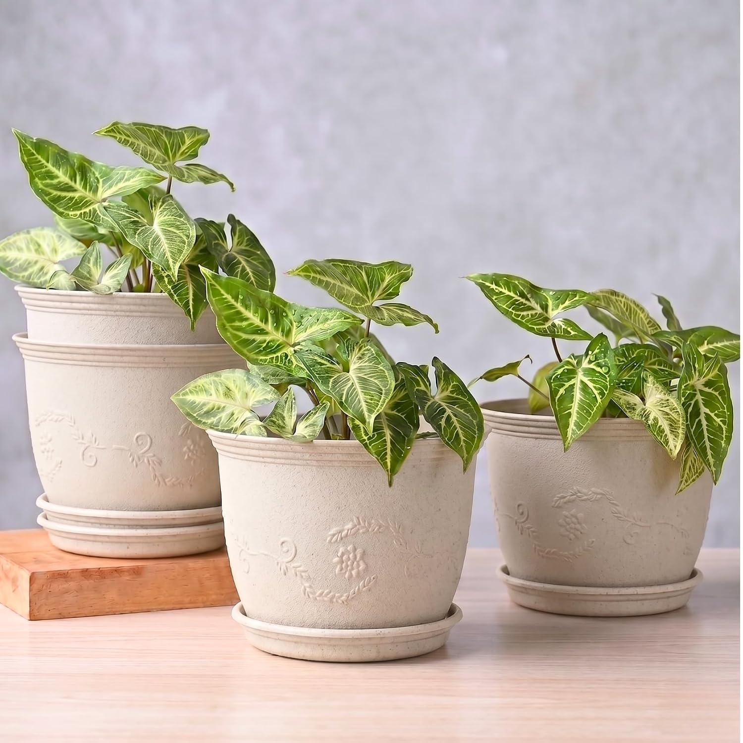 Eha Earth Friendly 8″ Leafy Planter with Tray Made with Rice Husk, 4 Units
