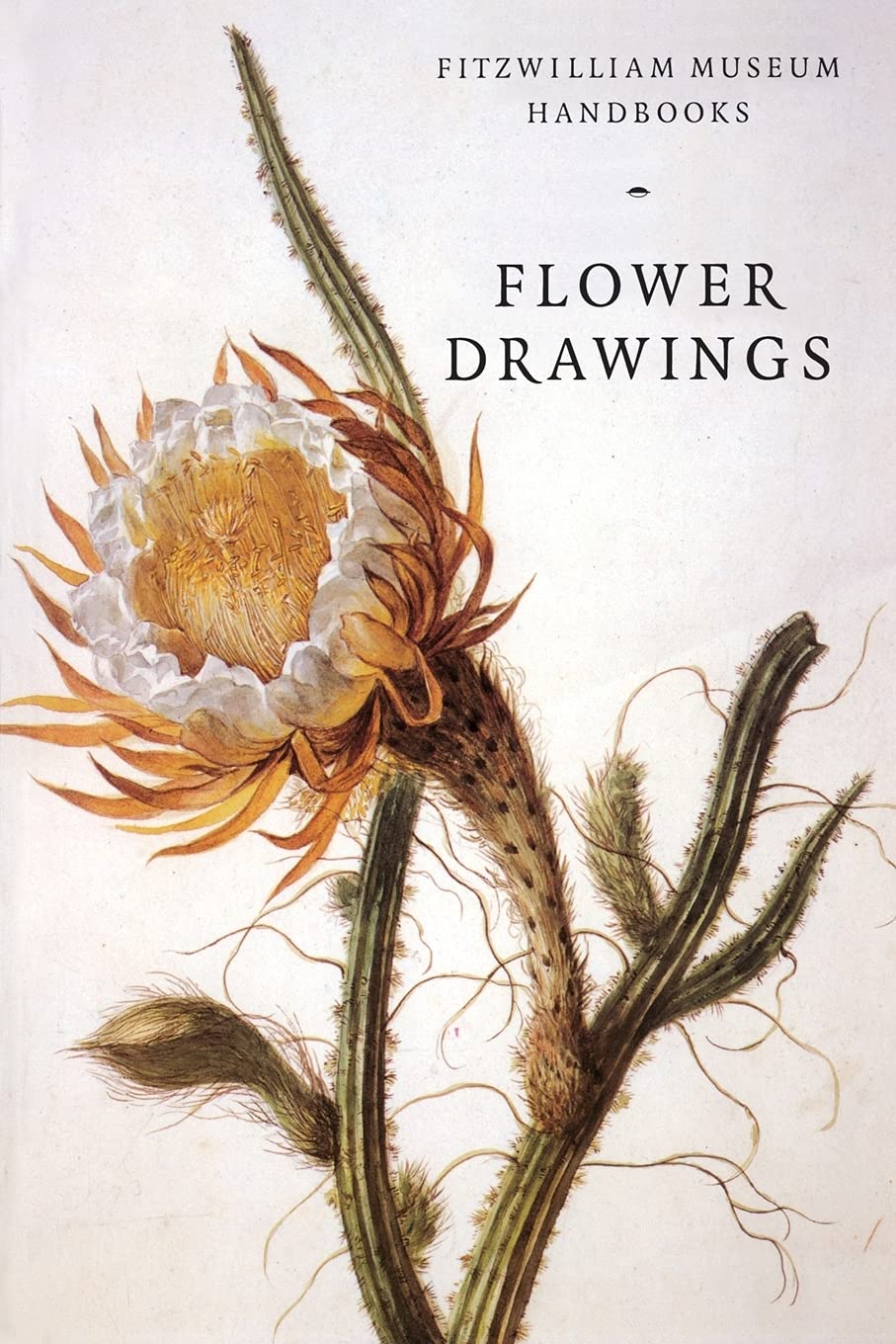 Flower Drawings (Fitzwilliam Museum Handbooks)