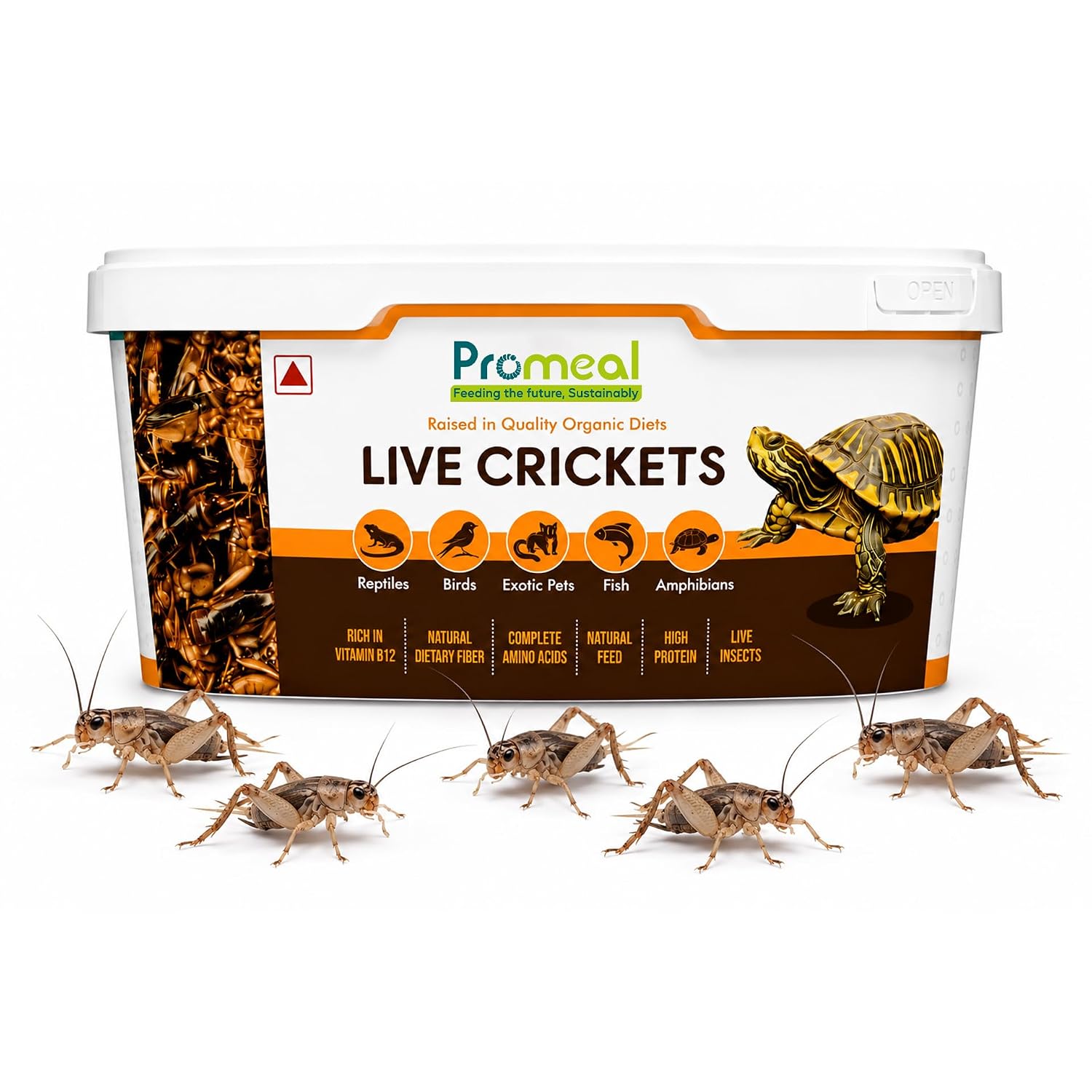 Promeal Live Crickets (Large Size) Feeder Insects for Reptiles, Amphibians, Birds, and Arachnids – High Protein, Nutritious, Natural Exotic Pet Feed (25 Live Crickets)