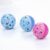 Dog Trust Cat Interactive Bell Ball Toy Hollow Out Round Ball Pet Colorful Playing Toys Pack of 2 (Color May Vary)