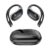 pTron Bassbuds Trendz Open Ear Wireless Earbuds, SafeBeats Design, Dual HD Mics & TruTalk AI-ENC Calls, 45Hrs Playtime, App Support, 14.2mm Drivers, BT6.0 Headphones, Type C Charging & IPX5 (Black)