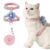 Qpets® Escape-Proof Cat Harness & Leash Set Cute Flower Pet Belt, S