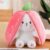 Niku Rabbit with Chain Reversible Bunny Rabbit Soft Stuffed Toys for Girls Boys Baby Kids | Cute Doll, Teddy Bear Plush Animal Toy | Strawberry/Carrot Shaped Pink Colour | Birthday Valentine Gift