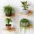Decazone Wooden Wall Mounted Book Shelves Set of 4 | Kids Room Nursery Book Ledge Shelf | Floating Wall Shelves for Pots, Toys, Decor | Space Saving Wall Organizer (Natural Wood)