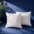 Orchid Cushion Inserts for Sofa 12×12 Inch Pack of 2 | Premium Microfiber Filled Square Cushion Pads | Soft, Fluffy & Durable Cushions for Couch, Chair, Bed & Decorative Cushion | White