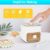 Double Layer Ice Cube Maker with Storage Box, BPA-Free Plastic, Push-Button Release, Transparent Drawer, Carry Handle