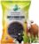 SRI SAI FORESTRY COFS 31 Grass Seeds (800 Seed Pack) High Yield, Multi Cut Grass for Cow and Goat