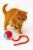 Pet Cat Toys for Persian Cats – Interactive Pet Toys for Cats & Kittens | Soft, Fun & Safe Toys for Indoor Cats | Great for Play & Exercise