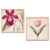 Kotart Botanical Wall Art Painting | Premium Art Framed Wall Paintings For Home Décor | Poster With Frame Wall Decoration Painting | Frames For Home Décor Office Living Room | Set of 2 (Art 1, ( 8X8 inch ), Framed)