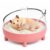 SANSEFERO Hamster Bath Tub Basin for Relaxing Bathing Box for Hamsters, Dwarf, Chinchillas, Mice & Gerbils Enhance Hygiene Splash Proof & Comfort in Style (Random Color)