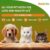 Anti-Bacterial 240 Count Pet Wipes with Fresh Apple Scent for Dogs, Puppies & Pets (Pack of 3) Suitable for All Types of Pets’ Dry Bathing, Daily Care, Paw Cleaning Wipes