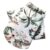 Lulala Dog Summer Shirt for Dogs – Lightweight & Breathable Tropical Print T-Shirt | Soft Comfortable Pet Clothing for Summer | Beach & Vacation Outfit for Small & Medium Dogs