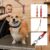 Jspupifip 3 Pack Dog Grooming Belly Straps Set, Adjustable Grooming Arm Table Harness for Large Dogs Pet Bathing Grooming Noose Arm Haunch Holder Pet Leash Extender Harness (Orange and Red)