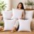 Microfiber Cushion Filler, 24X24 Inches, White, Set of 5 (White, 24×24 Inches)
