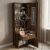 CASPIAN Engineered Wood Single Door Wooden Vanity Dressing Table (Dark Brown) | Pre-Assembled Furniture with Mirror | Makeup & Accessories Storage Organizer with 5 Shelves, 1 Cabinet & 1 Drawer