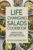 Life Changing Salads Cookbook: 2000 Days of Fresh, Nourishing Recipes to Boost Energy and Health