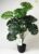 Blooming Floret Artificial Monstera Plant | with Basic Black Pot | 18 Green Leaves | Big Ornamental Plant for Interior Decor/Home Decor/Office Decor | 73.6 cm Tall Natural Looking Plant