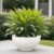 YUCCABE ITALIA FOXB KTR 18 INCH Pots for Plants Highly Durable Polymers Lightweight Indoor Outdoor Flower Pot Gamla Tree Planter Container Planters for Living Room, Balcony, Garden, Office