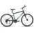 ROADGIANT Retro 700 C | Hy-Bird City Bike | Steel Alloy Frame Bicycle | V- Brakes | 21 Speed Shimano | Rigid Fork | Unisex Bike |for All-Terrain Riding (Matt Black)