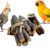 Congo® Neem Or Eucalyptus Chewing Toy Twigs for Budgies, Cockatiels, Conure, Senegal, Amazon, African Grey and Other Birds | 5 Pc