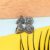 Fashion Frill Earrings For Women Floral Vintage Design Traditional Drop Jhumke For Women Girls Love Gifts 12 Pair of Earrings